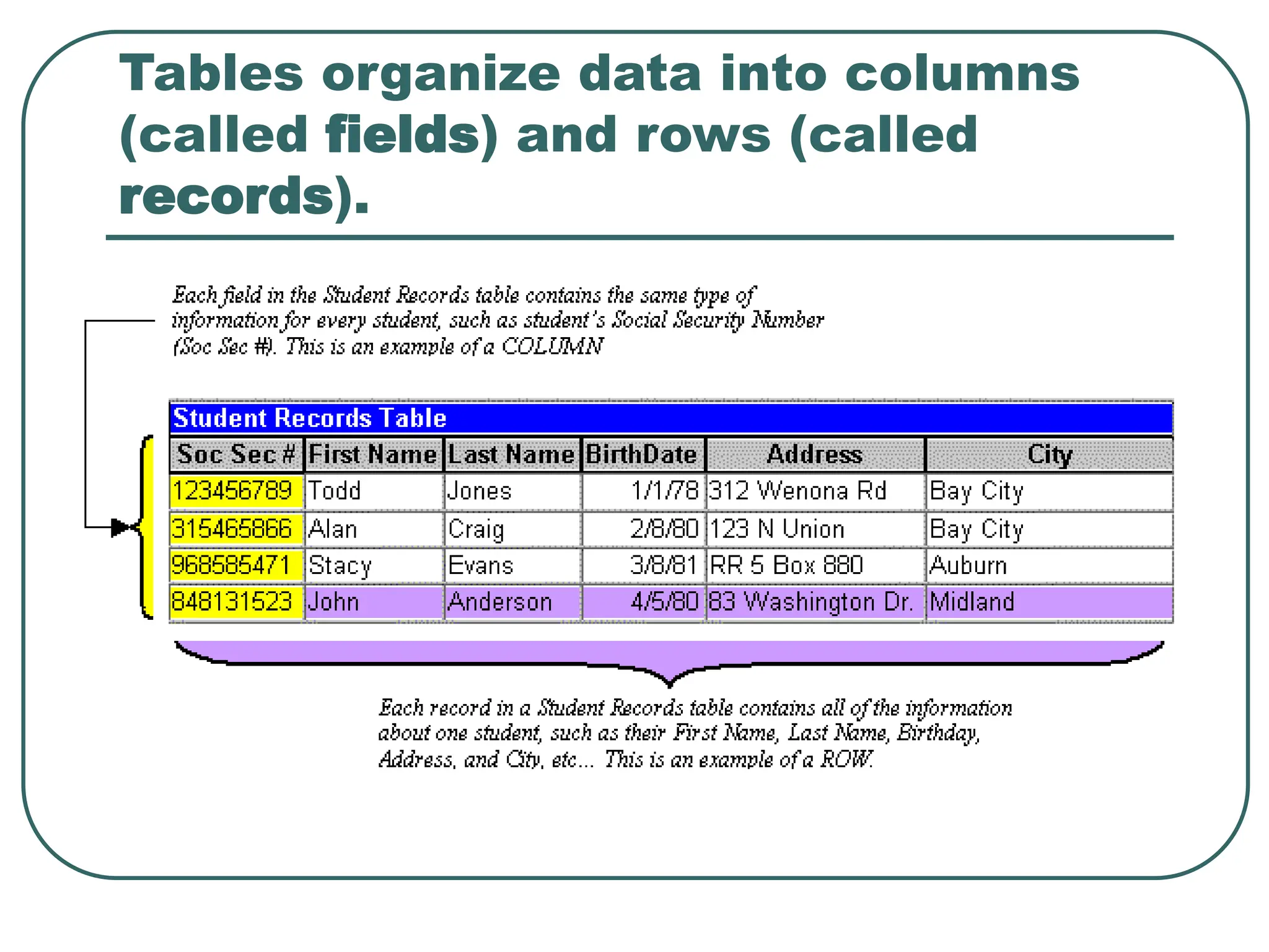 Tables organize data into columns (called fields) and rows (called records). 