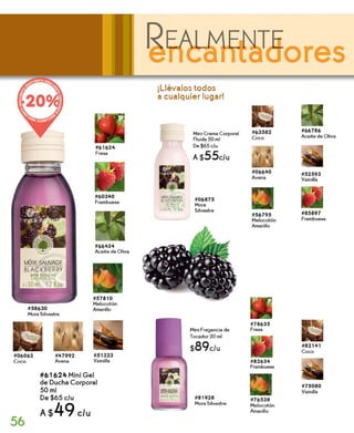 campaña 2 año 2014