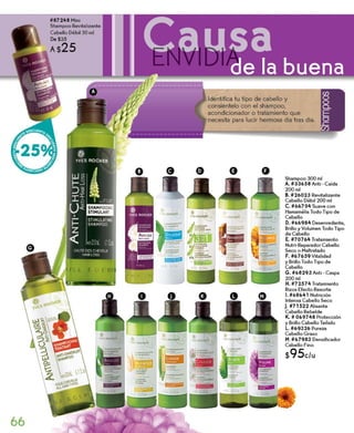 campaña 2 año 2014