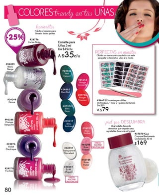 campaña 2 año 2014