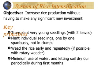 0402 SRI: Pabinhi Farmers' Experience | PPT