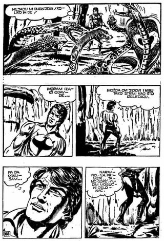 0405  Osvetnik Masaj