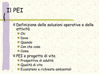 Il PEI
Definizione delle soluzioni operative e delle
attività
Chi
Dove
Quando
Con che cosa
Come
PEI e progetto di vita
Prospettive di adulità
Qualità di vita
Ecosistemi e richieste ambientali
 