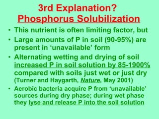 3rd Explanation?  Phosphorus Solubilization <ul><li>This nutrient is often limiting factor, but </li></ul><ul><li>Large am...