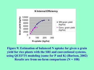 Figure 9: Estimation of balanced N uptake for given a grain yield for rice plants with  the SRI and conventional systems, ...