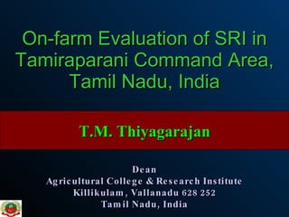 On-farm Evaluation of SRI in Tamiraparani Command Area, Tamil Nadu, India T.M. Thiyagarajan Dean Agricultural College & Research Institute Killikulam, Vallanadu 628 252 Tamil Nadu, India 