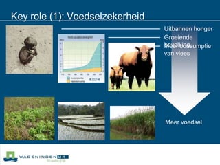 Key role (1): VoedselzekerheidUitbannen hongerGroeiende bevolkingMeer consumptie van vleesMeer voedsel