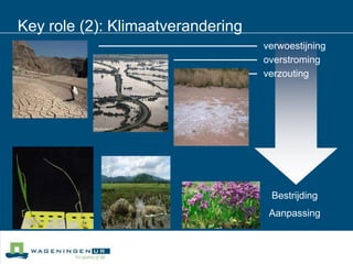 Key role (2): KlimaatveranderingverwoestijningoverstromingverzoutingBestrijding Aanpassing 