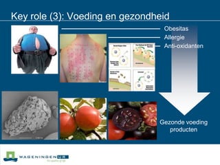 Key role (3): Voeding en gezondheidObesitasAllergieAnti-oxidantenGezonde voeding producten
