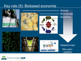 Key role (5): Biobased economieBiofuelsBiomaterialsBiorefineryAdapted cropsNew agro-systems