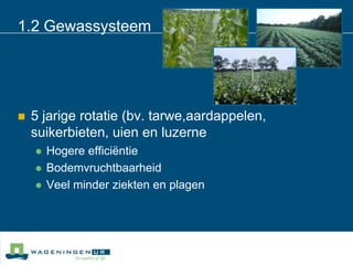 1.2 Gewassysteem5 jarige rotatie (bv. tarwe,aardappelen, suikerbieten, uien en luzerneHogere efficiëntieBodemvruchtbaarheidVeel minder ziekten en plagen 