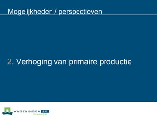 Mogelijkheden / perspectieven 2. Verhoging van primaire productie