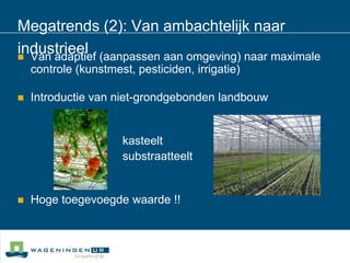 Megatrends (2): Van ambachtelijk naar industrieelVan adaptief (aanpassen aan omgeving) naar maximale controle (kunstmest, pesticiden, irrigatie)Introductie van niet-grondgebonden landbouw 				kasteelt				substraatteeltHoge toegevoegde waarde !!