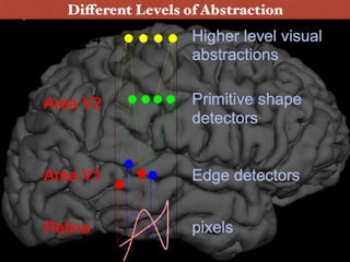 Different Levels of Abstraction
 