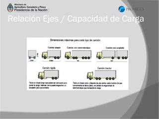 Relación Ejes / Capacidad de Carga

 