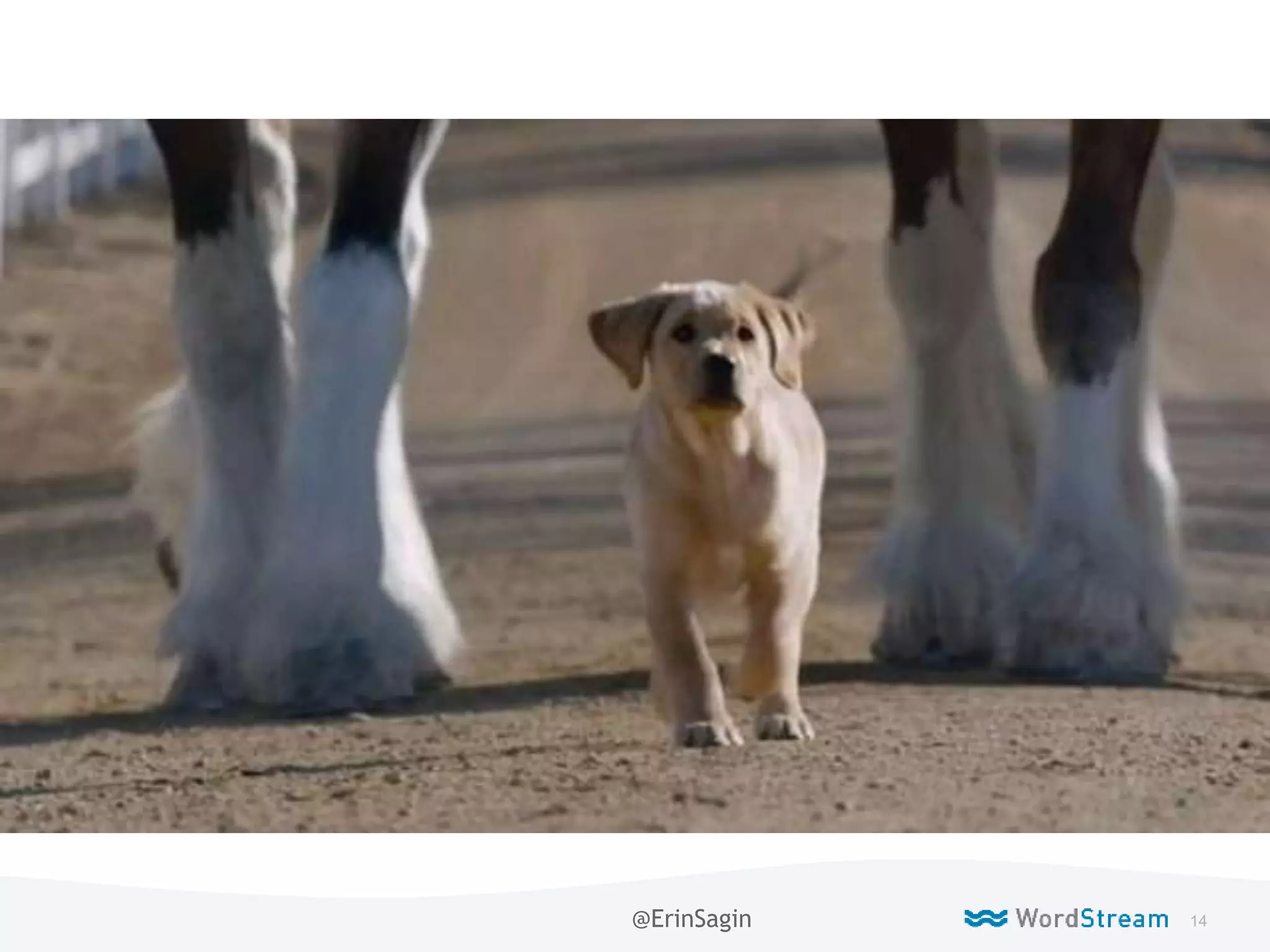14WordStream Confidential
Live
@ErinSagin
 