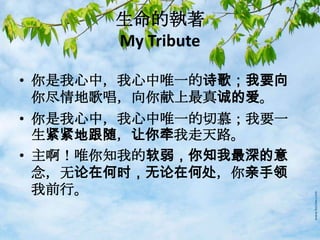 生命的執著
My Tribute
• 你是我心中，我心中唯一的诗歌；我要向
你尽情地歌唱，向你献上最真诚的爱。
• 你是我心中，我心中唯一的切慕；我要一
生紧紧地跟随，让你牵我走天路。
• 主啊！唯你知我的软弱，你知我最深的意
念，无论在何时，无论在何处，你亲手领
我前行。
 