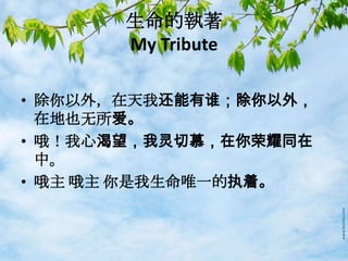 生命的執著
My Tribute
• 除你以外，在天我还能有谁；除你以外，
在地也无所爱。
• 哦！我心渴望，我灵切慕，在你荣耀同在
中。
• 哦主 哦主 你是我生命唯一的执着。
 