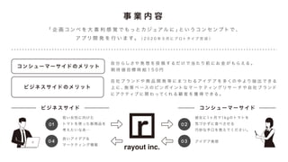 rayout Inc. company profile