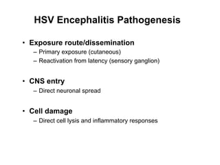 HSV Encephalitis Pathogenesis

•  Exposure route/dissemination
   –  Primary exposure (cutaneous)
   –  Reactivation from latency (sensory ganglion)


•  CNS entry
   –  Direct neuronal spread


•  Cell damage
   –  Direct cell lysis and inflammatory responses
 