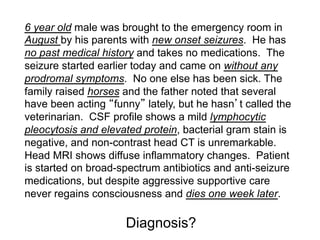6 year old male was brought to the emergency room in
August by his parents with new onset seizures. He has
no past medical history and takes no medications. The
seizure started earlier today and came on without any
prodromal symptoms. No one else has been sick. The
family raised horses and the father noted that several
have been acting funny lately, but he hasn t called the
veterinarian. CSF profile shows a mild lymphocytic
pleocytosis and elevated protein, bacterial gram stain is
negative, and non-contrast head CT is unremarkable.
Head MRI shows diffuse inflammatory changes. Patient
is started on broad-spectrum antibiotics and anti-seizure
medications, but despite aggressive supportive care
never regains consciousness and dies one week later.

                     Diagnosis?
 