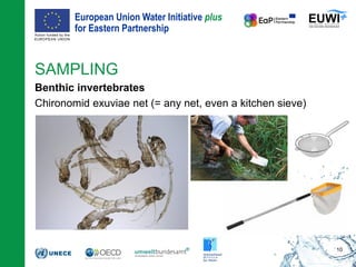 European Union Water Initiative plus
for Eastern Partnership
© iStockphoto.com/ansonsaw
SAMPLING
Benthic invertebrates
Chironomid exuviae net (= any net, even a kitchen sieve)
10
 
