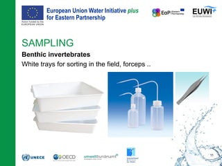 European Union Water Initiative plus
for Eastern Partnership
© iStockphoto.com/ansonsaw
SAMPLING
Benthic invertebrates
White trays for sorting in the field, forceps ..
11
 