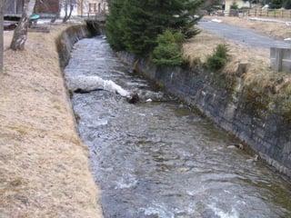 European Union Water Initiative plus
for Eastern Partnership
© iStockphoto.com/ansonsaw
17
 