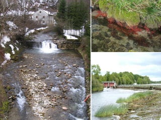 European Union Water Initiative plus
for Eastern Partnership
© iStockphoto.com/ansonsaw
18
 