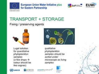 European Union Water Initiative plus
for Eastern Partnership
© iStockphoto.com/ansonsaw
TRANSPORT + STORAGE
Fixing / preserving agents
23
Lugol solution
for quantitative
phytoplankton
samples
(a few drops 
colour should be
like cognac)
qualitative
phytoplankton
samples should be
sorted under
microscope as living
samples
 