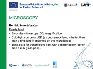 European Union Water Initiative plus
for Eastern Partnership
© iStockphoto.com/ansonsaw
MICROSCOPY
Benthic invertebrates
Family level
• Binocular microscope: 50x magnification
• Cold-light source or LED (as gooseneck lamp – better than
than a ring light fix-mounted on the microscope)
• glass plate for transmissive light with a mirror below (better
than a milk glass pane)
25
 