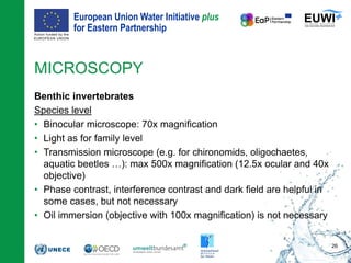 European Union Water Initiative plus
for Eastern Partnership
© iStockphoto.com/ansonsaw
MICROSCOPY
Benthic invertebrates
Species level
• Binocular microscope: 70x magnification
• Light as for family level
• Transmission microscope (e.g. for chironomids, oligochaetes,
aquatic beetles …): max 500x magnification (12.5x ocular and 40x
objective)
• Phase contrast, interference contrast and dark field are helpful in
some cases, but not necessary
• Oil immersion (objective with 100x magnification) is not necessary
26
 