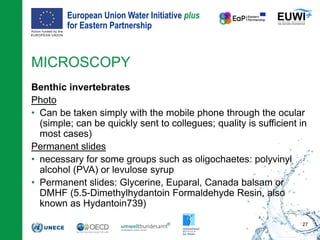 European Union Water Initiative plus
for Eastern Partnership
© iStockphoto.com/ansonsaw
MICROSCOPY
Benthic invertebrates
Photo
• Can be taken simply with the mobile phone through the ocular
(simple; can be quickly sent to collegues; quality is sufficient in
most cases)
Permanent slides
• necessary for some groups such as oligochaetes: polyvinyl
alcohol (PVA) or levulose syrup
• Permanent slides: Glycerine, Euparal, Canada balsam or
DMHF (5.5-Dimethylhydantoin Formaldehyde Resin, also
known as Hydantoin739)
27
 