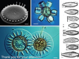 European Union Water Initiative plus
for Eastern Partnership
© iStockphoto.com/ansonsaw
29
Thank you for your attention!
 