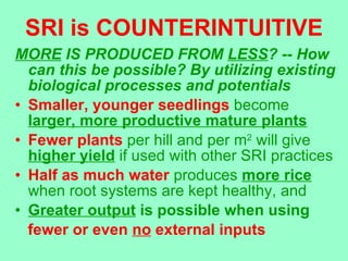 SRI is COUNTERINTUITIVE <ul><li>MORE  IS PRODUCED FROM  LESS ? -- How can this be possible? By utilizing existing biologic...