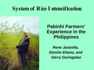 System of Rice Intensification  Pabinhi Farmers’ Experience in the Philippines Rene Jaranilla,  Dionito Eñano, and  Gerry ...