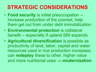 STRATEGIC CONSIDERATIONS <ul><li>Food security  is initial preoccupation -- increase production of the poorest, help them ...