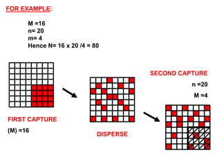 Mark Capture 041 mark recapture method for population study | PPT