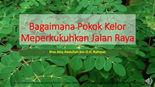 Bagaimana Pokok Kelor
Meperkukuhkan Jalan Raya
Riza Atiq Abdullah bin O.K. Rahmat
http://kaltim.tribunnews.com/2015/10/14/daun-kelor-sayur-asli-indonesia-yang-ampuh-mengobati-penyakit-ganas
 