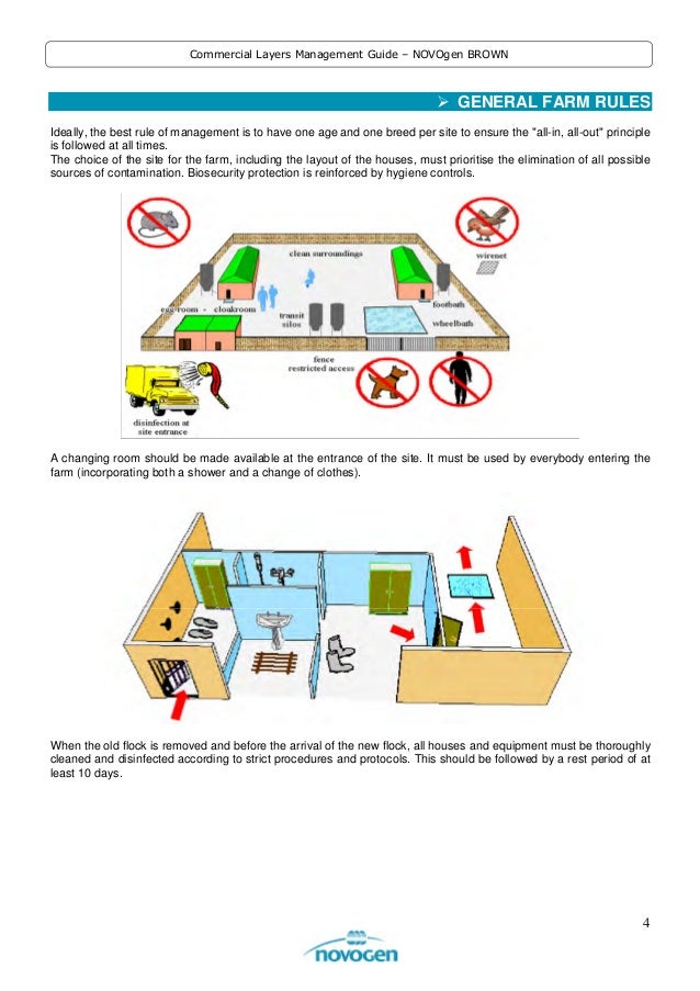 Novogen Brown Commercial Layers Management Guide
