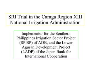 SRI Trial in the Caraga Region XIII National Irrigation Administration Implementor for the Southern Philippines Irrigation Sector Project (SPISP) of ADB, and the Lower Agusan Development Project (LADP) of the Japan Bank for International Cooperation 