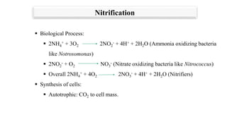 Nitrification O2 0422042131_Removal of N & P.pptx