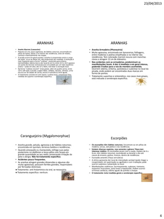 23/04/2013
4
ARANHAS
• Aranha Marrom (Loxosceles)
• Pequena (4 cm), pouco agressiva, de hábitos noturnos; encontrada em
pilhas de tijolos, telhas e no interior das residências, atrás de móveis,
cortinas e eventualmente nas roupas.
• A picada ocorre em geral quando a aranha é comprimida contra o corpo
(ao vestir- se ou ao deitar-se), não produzindo dor imediata. A evolução é
mais freqüente para a forma "cutânea", evoluindo para eritema
(vermelhidão), edema duro e dor local (6 a12 h); entre 24 h e 36 h aparece
um ponto de necrose central (escuro) circundado por um halo isquêmico
(claro) – Lesão em alvo; até 72 h, febre, mal-estar e ulceração local.
• Na forma "cutâneo-visceral" (mais grave), além do quadro acima, entre
12h e 24h após a picada, surgem febre, cefaléia, náuseas, vômitos, urina
escura (cor de lavado de carne), anúria e isuficiência renal aguda.
• O tratamento consiste em anti-sepsia, curativo local, compressas frias;
medidas de suporte e soroterapia específica.
ARANHAS
• Aranha Armadeira (Phoneutria)
• Muito agressiva, encontrada em bananeiras, folhagens,
entre madeiras e pedras empilhadas e no interior das
residências. Tem coloração marrom escura com manchas
claras e atingem 12 cm de diâmetro.
• Nos acidentes com as armadeiras, predominam as
manifestações locais. A dor é imediata e em geral intensa,
podendo irradiar para a raiz do membro acometido.
Ocorrem edema, eritema, parestesia e sudorese no local da
picada, onde podem ser encontradas duas marcas em
forma de pontos.
• Tratamento suportivo e sintomático; nos casos mais graves,
está indicada a soroterapia específica.
Caranguejeira (Mygalomorphae)
• Aranha grande, peluda, agressiva e de hábitos noturnos;
encontrada em quintais, terrenos baldios e residências.
• Quando ameaçada ou manipulada, esfrega suas patas
posteriores no abdômen e lança pêlos com farpas em
grande quantidade ao seu redor, provocando irritação da
pele e alergia. Não há tratamento específico.
• Acidentes pouco frequentes.
• As aranhas atingem grandes dimensões e algumas são
muito agressivas; possuem ferrões grandes, responsáveis
por ferroadas dolorosas.
● Tratamento: anti-histamínico via oral, se necessário.
● Tratamento específico: nenhum.
Escorpiões
• Os escorpiões têm hábitos noturnos. Encontram-se em pilhas de
madeira, cercas, sob pedras e nas residências.
• Existem diversas espécies, mas somente o gênero Tityus tem
interesse médico. Os escorpiões picam com a cauda, medem de 6 a
8 em, têm hábitos noturnos, escondendo se durante o dia sob
cascas de árvores, pedras, troncos, dentro de residências
• Escorpião amarelo (Tityus serrulatus).
• A vítima apresenta dor local de intensidade variável (pode chegar a
insuportável), em queimação ou agulhada e com irradiação; pode
ocorrer sudorese e piloereção no local.
• Manifestações sistêmicas: lacrimejamento, sudorese, tremores,
espasmos musculares, pulso lento e hipotensão. Podem ocorrer
arritmias cardíacas, edema agudo de pulmão e choque.
• O tratamento inclui medidas gerais e soroterapia específica.
 