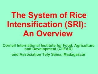 The System of Rice Intensification (SRI):  An Overview  Cornell International Institute for Food, Agriculture and Development (CIIFAD) and Association Tefy Saina, Madagascar 