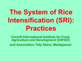 The System of Rice
Intensification (SRI):
      Practices
 Cornell International Institute for Food,
 Agriculture and Development (CIIFAD)
and Association Tefy Saina, Madagascar
 