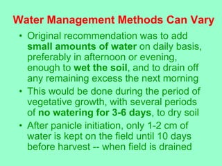 Water Management Methods Can Vary
• This may be more water than needed
• Many farmers practice alternate wetting
  and dry...