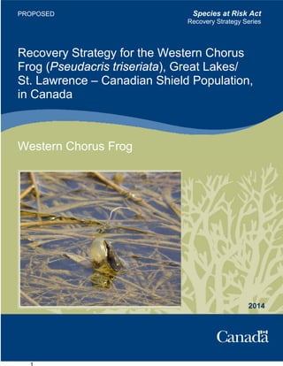 Species at Risk Act
Recovery Strategy Series
Recovery Strategy for the Western Chorus
Frog (Pseudacris triseriata), Great Lakes/
St. Lawrence – Canadian Shield Population,
in Canada
Western Chorus Frog
2014
PROPOSED
 