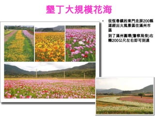 墾丁大規模花海
     •   從恆春鎮的東門走屏200縣
         道經出火風景區往滿州市
         區
     •   到了滿州圓環(警察局旁)右
         轉200公尺左右即可到達
 