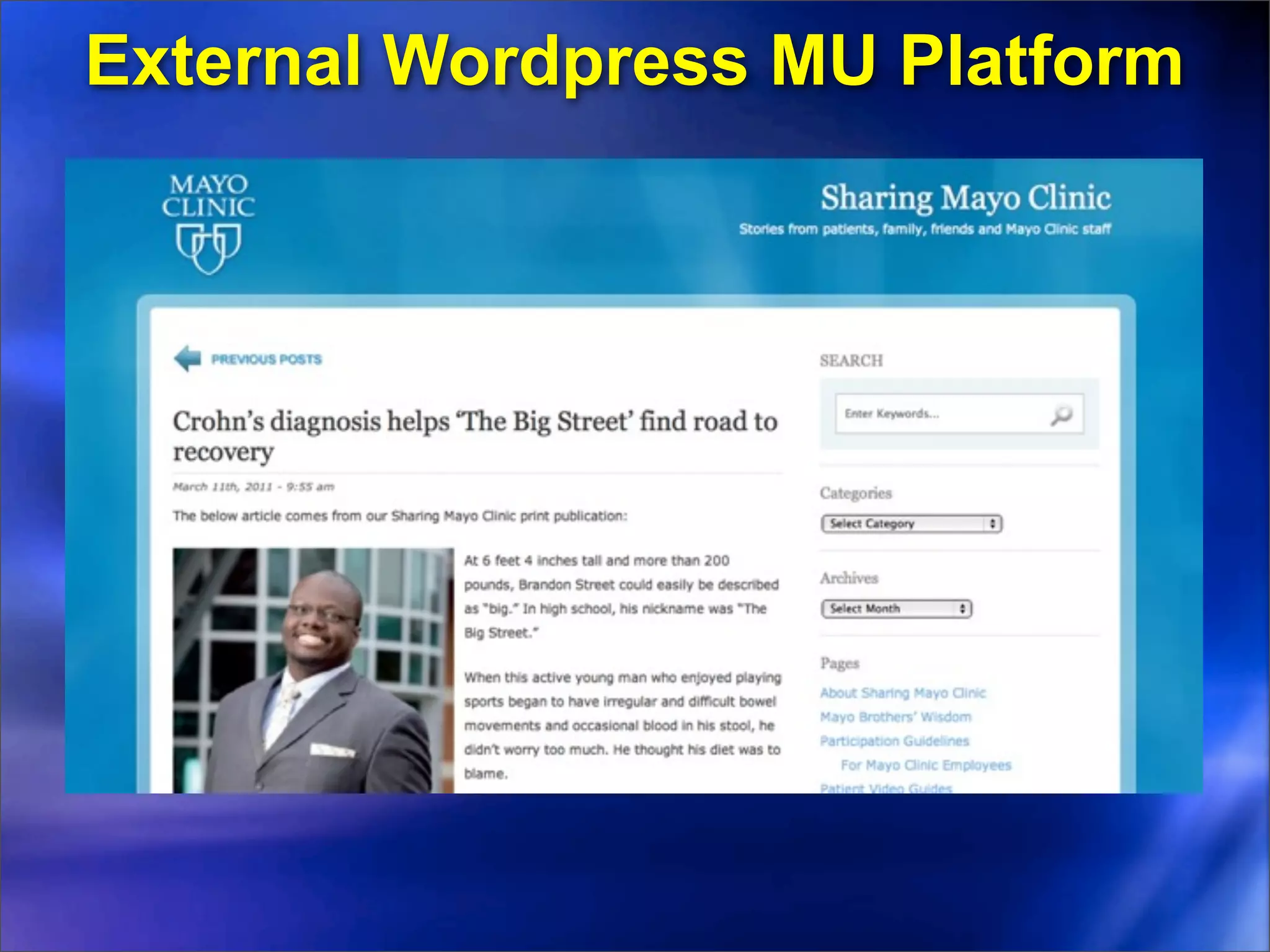 External Wordpress MU Platform
 