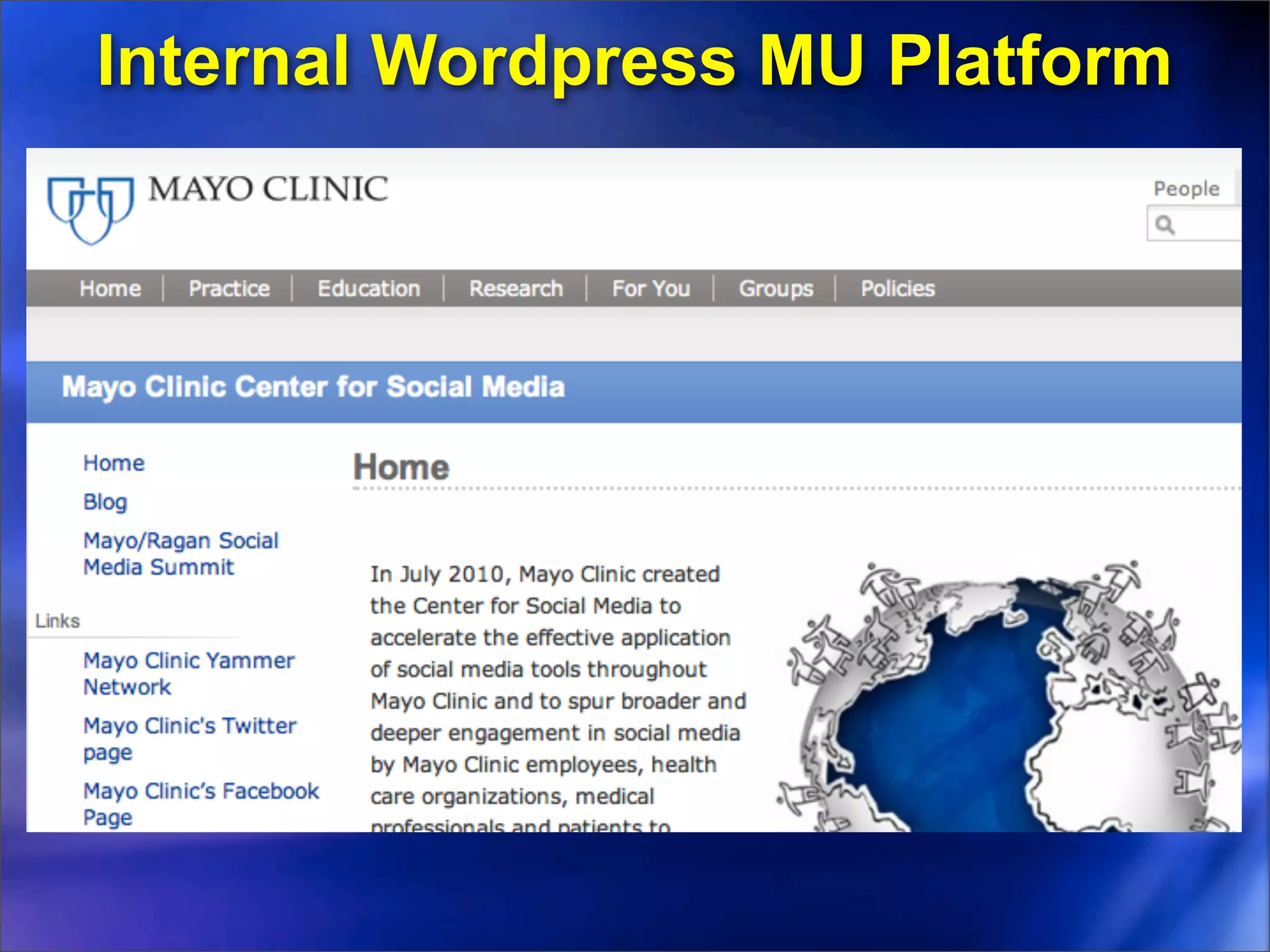Internal Wordpress MU Platform
 